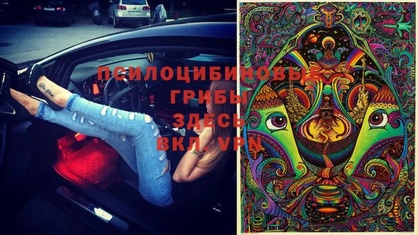 трава Абаза