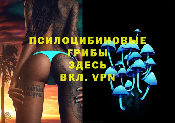 spice Куйбышев
