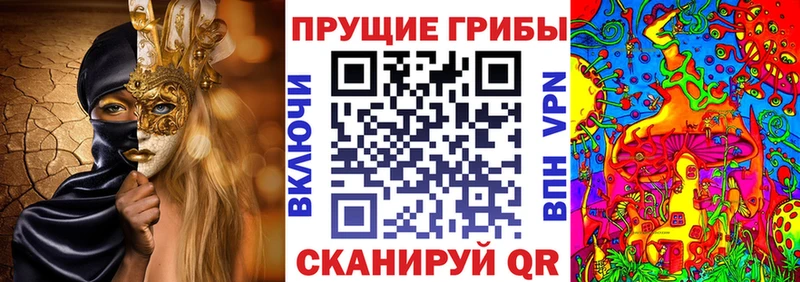 Галлюциногенные грибы GOLDEN TEACHER shop как зайти Краснодар